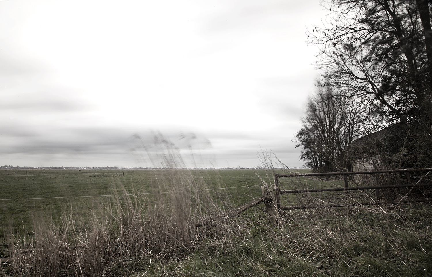 Foto van de crashsite van de Lockheed P38 van Richard Scot in de Bunschoterpolder.