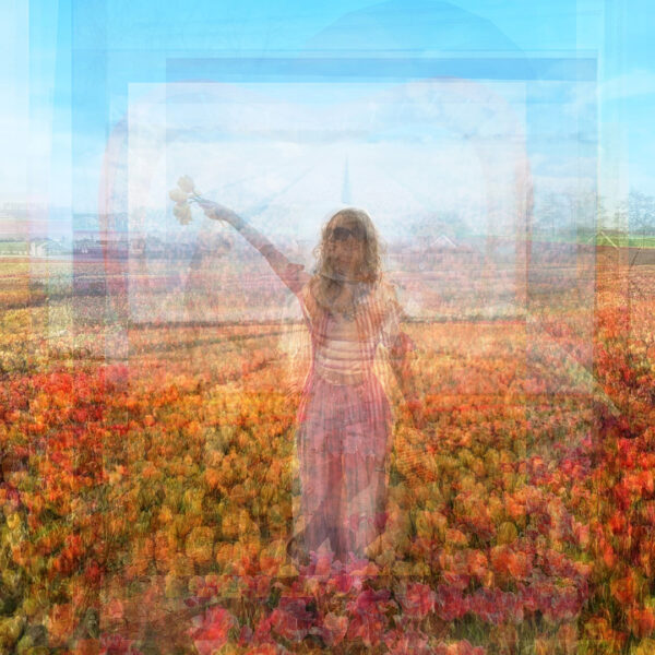 Martijn Voorhout Fotografie Flowerfields